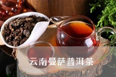 云南曼萨普洱茶/2023102639494