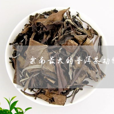 云南最大的普洱茶初制所/2023120704839