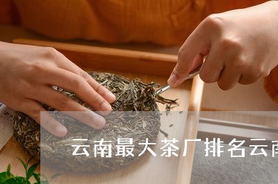 云南最大茶厂排名云南最好的茶厂/2023060263935