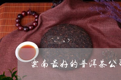 云南最好的普洱茶公司/2023062598281