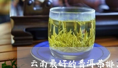 云南最好的普洱茶排名前十名/2023052913716