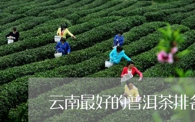 云南最好的普洱茶排名前十名品牌/2023060261814