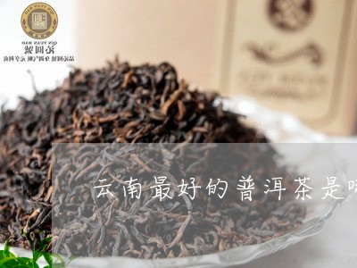 云南最好的普洱茶是哪一种/2024010486139