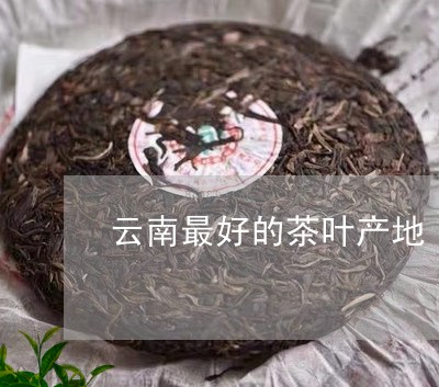 云南最好的茶叶产地/2023042681916