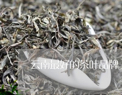 云南最好的茶叶品牌/2023042640482