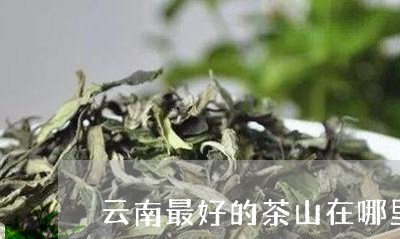 云南最好的茶山在哪里/2023071629270