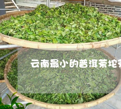 云南最小的普洱茶坨茶/2023080350827