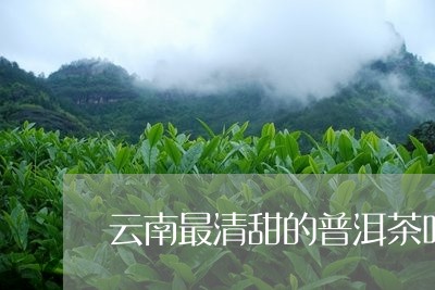 云南最清甜的普洱茶叶是什么茶/2023082868383