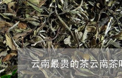 云南最贵的茶云南茶叶介绍/2023051253815