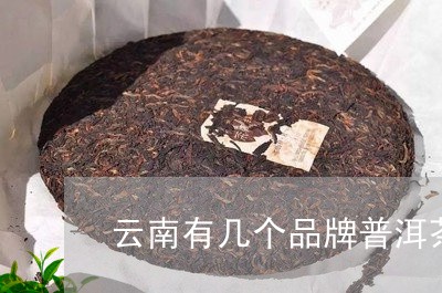 云南有几个品牌普洱茶/2023080144848