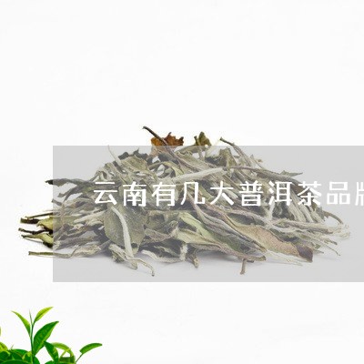 云南有几大普洱茶品牌名称/2023081506258