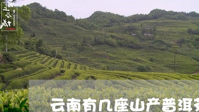 云南有几座山产普洱茶的/2023112819483