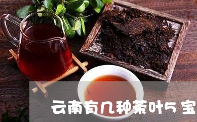 云南有几种茶叶5宝茶哪个牌子的好/2023060405039