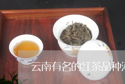 云南有名的红茶品种河南绿茶/2023052695147