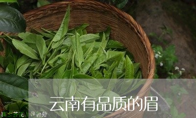 云南有品质的眉/2023061495282