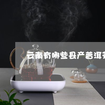 云南有哪些县产普洱茶/2023073056149