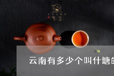 云南有多少个叫什塘的普洱茶/2023052714179