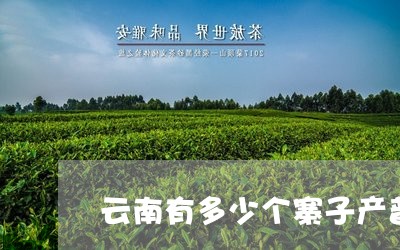 云南有多少个寨子产普洱茶/2023110235258