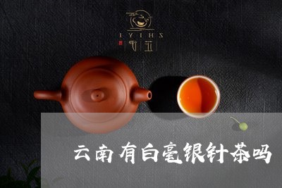 云南有白毫银针茶吗/2023071452626