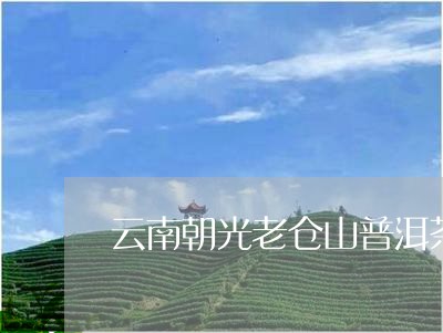 云南朝光老仓山普洱茶/2023092916250