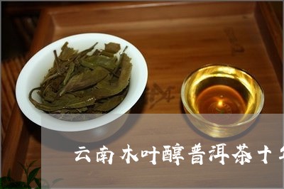 云南木叶醇普洱茶十年/2023072273268