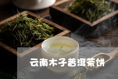 云南木子普洱茶饼/2023112619594