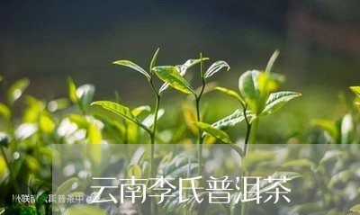 云南李氏普洱茶/2023102651515