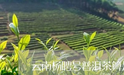 云南杨聘号普洱茶算是好茶吗/2023052764051