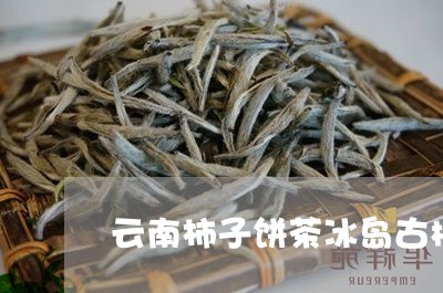 云南柿子饼茶冰岛古树/2023092362616