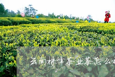 云南株峰茶业茶怎么样/2023092127471