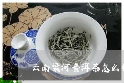 云南梁河普洱茶怎么样啊/2023082714167