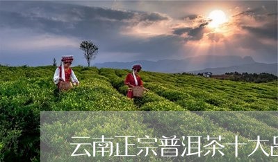 云南正宗普洱茶十大品牌排行/2023052878470