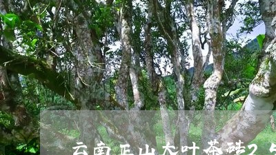 云南正山大叶茶砖250克/2023051206170