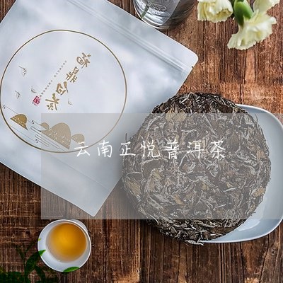 云南正悦普洱茶/2023082699594