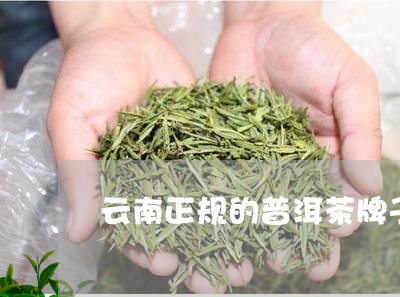 云南正规的普洱茶牌子/2023080246469