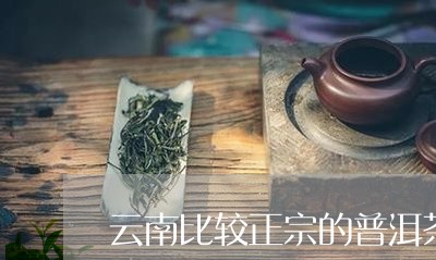 云南比较正宗的普洱茶从哪买/2023082610584