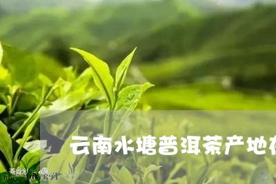 云南水塘普洱茶产地在哪里/2023082803839