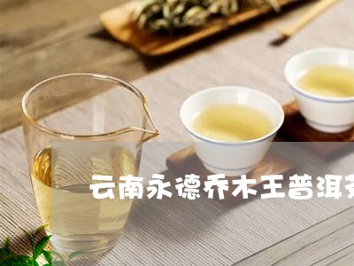 云南永德乔木王普洱茶/2023100561949