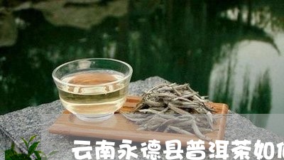 云南永德县普洱茶如何/2023092945835