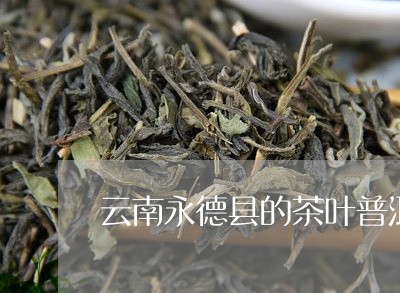 云南永德县的茶叶普洱茶/2023082761793