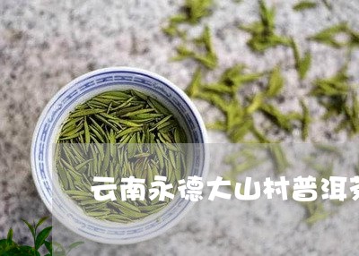 云南永德大山村普洱茶/2023100663037