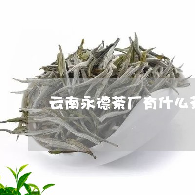 云南永德茶厂有什么茶茶博会/2023052631794