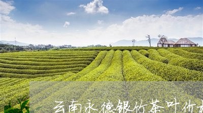 云南永德银竹茶叶价格/2023061058493