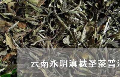 云南永明滇藏圣茶普洱茶/2023112720593