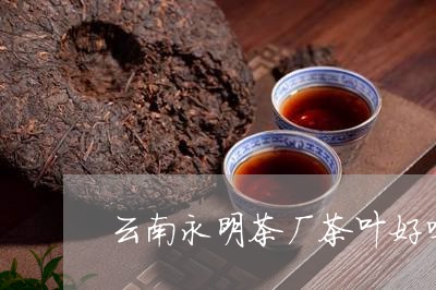 云南永明茶厂茶叶好吗/2023092272715