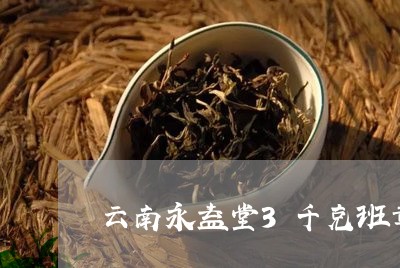 云南永益堂3千克班章古村茶/2023052731948