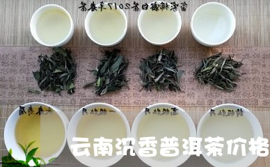 云南沉香普洱茶价格表/2023062058602