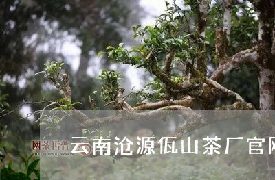 云南沧源佤山茶厂官网/2023071698482