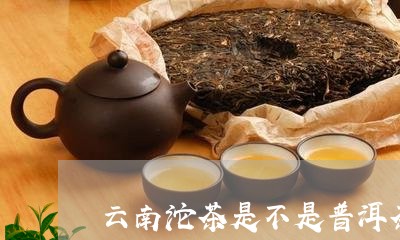 云南沱茶是不是普洱茶/2023062549613