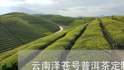 云南泽苍号普洱茶定制/2023062345147